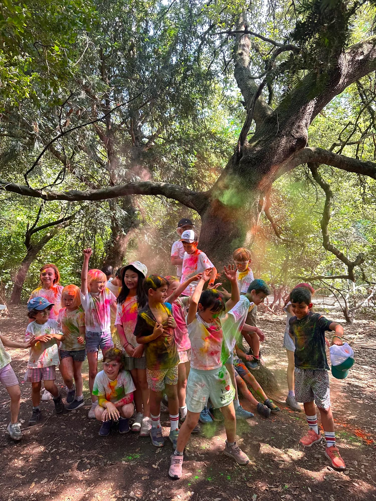 A crowd of campers gathered under a huge tree, covered in colour