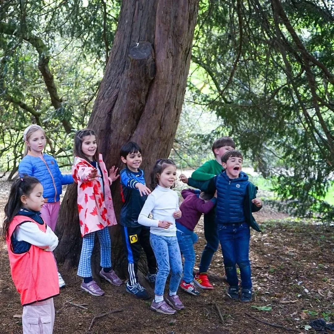 Campers gathered around a big tree in the forest